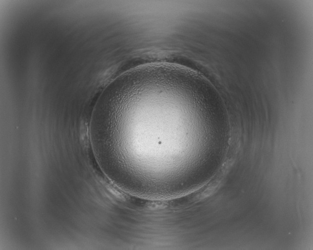 X0000056000624200508221324