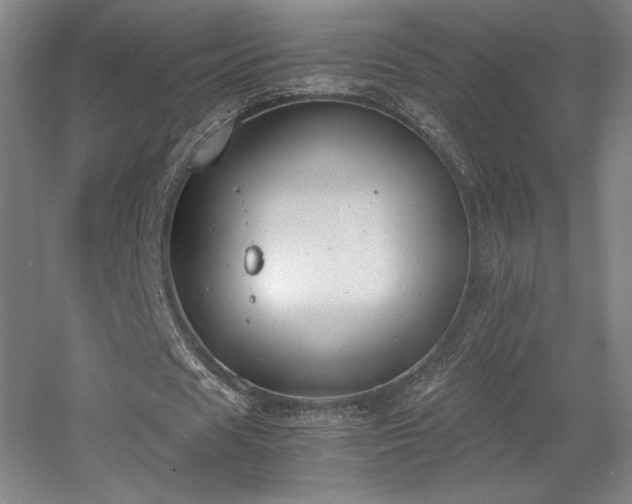 X0000056000625200508221323