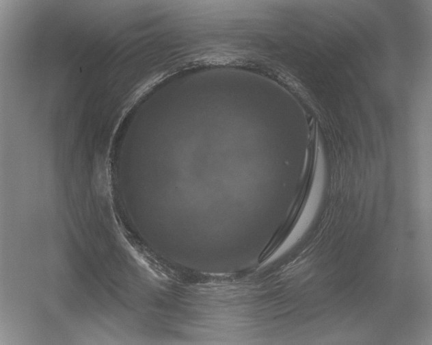 X0000056000626200508221324