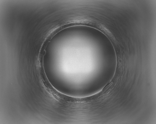 X0000056000628200508221324