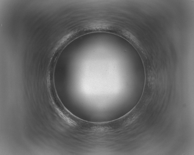 X0000056000629200508221324