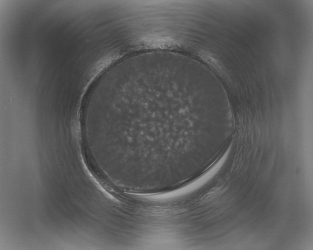 X0000056000630200508221324