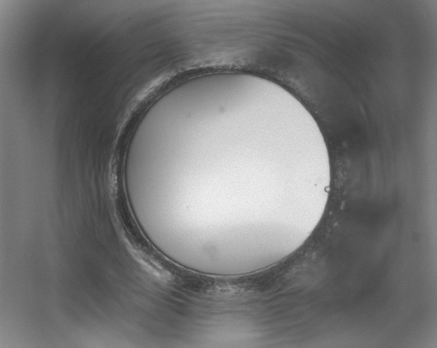 X0000056000632200508221324