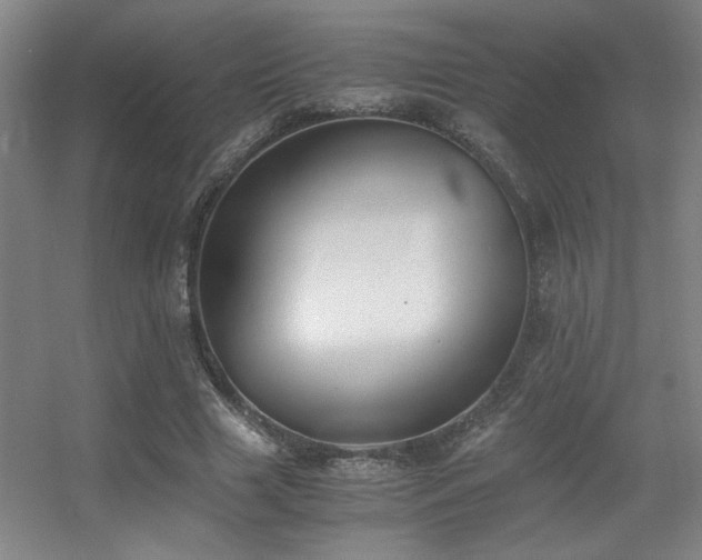 X0000056000633200508221324