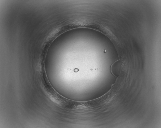 X0000056000635200508221324