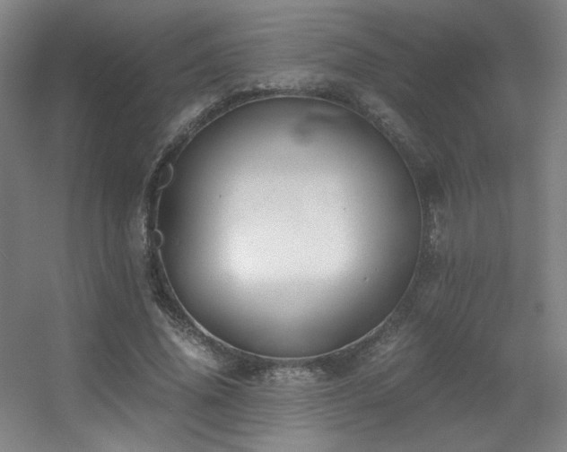 X0000056000636200508221324