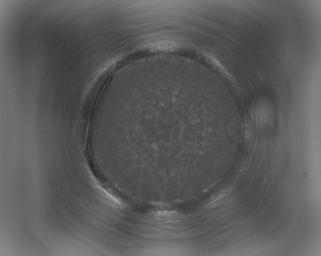 X0000056000637200508221324