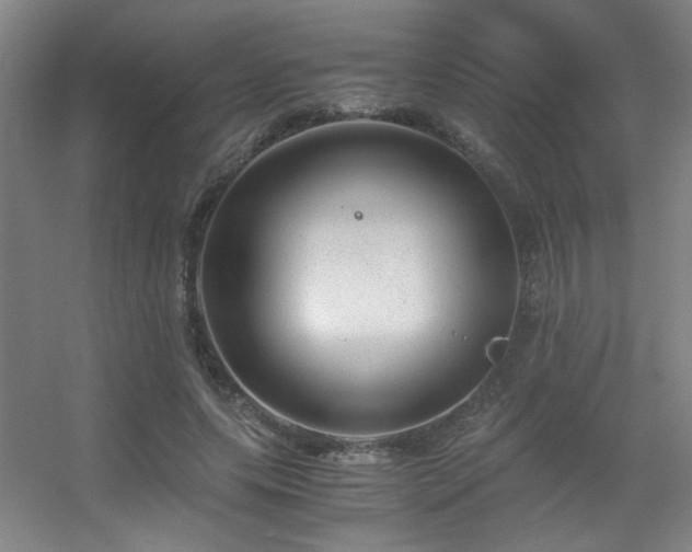 X0000056000639200508221324