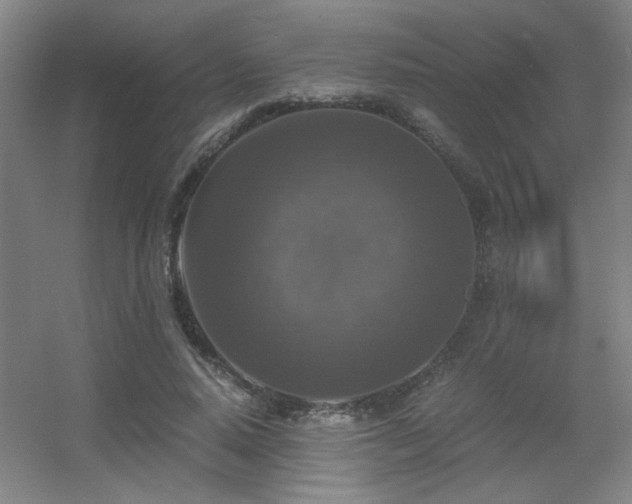 X0000056000640200508221324