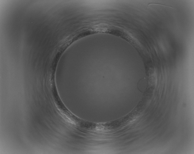 X0000056000641200508221324