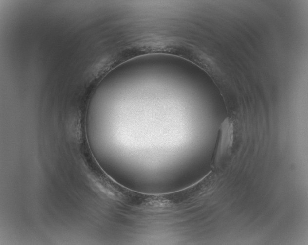 X0000056000642200508221324