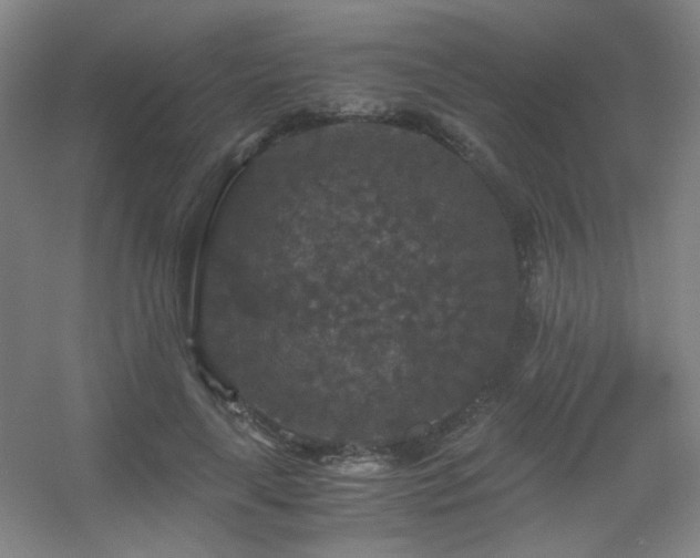 X0000056000643200508221324