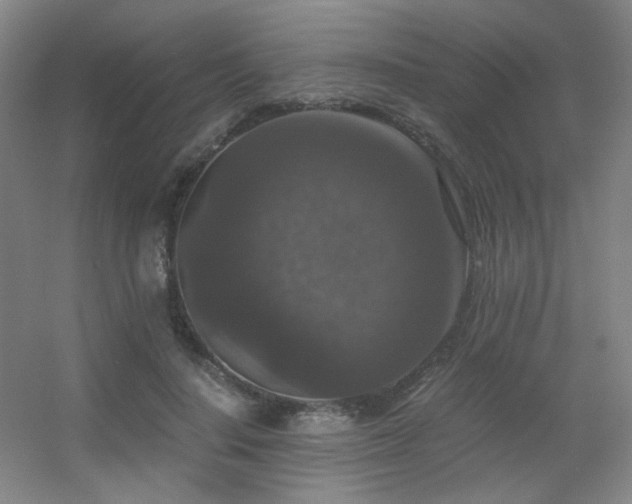 X0000056000644200508221324