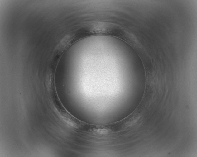 X0000056000645200508221324