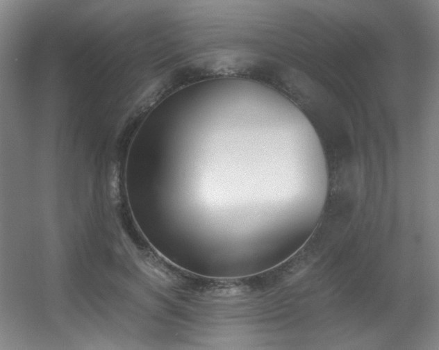 X0000056000646200508221324