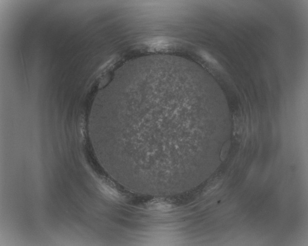 X0000056000648200508221324