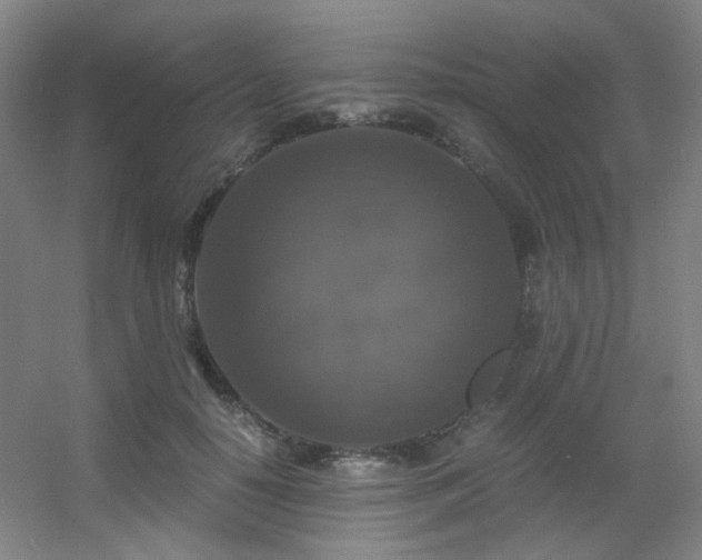 X0000056000650200508221324