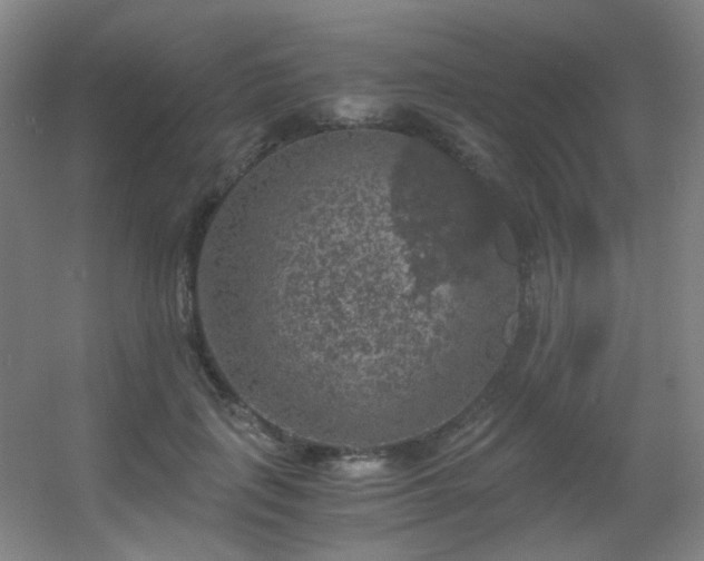 X0000056000651200508221324