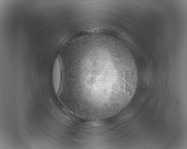 X0000056000652200508221324