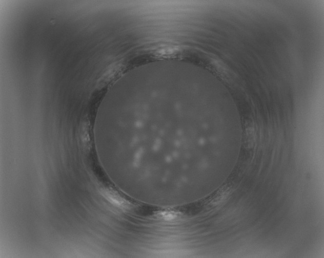 X0000056000654200508221324