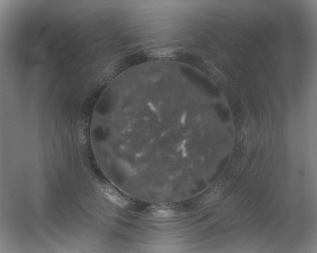 X0000056000658200508221324