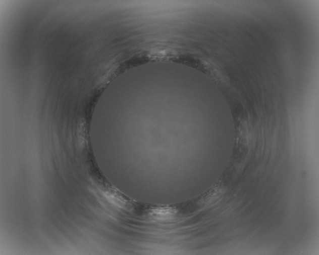 X0000056000659200508221324