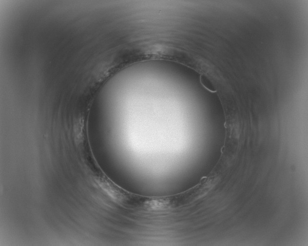 X0000056000660200508221324