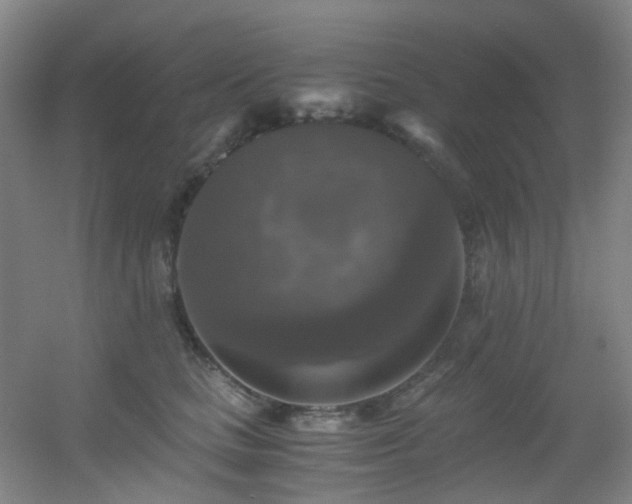 X0000056000661200508221324