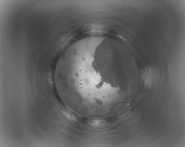 X0000056000663200508221324