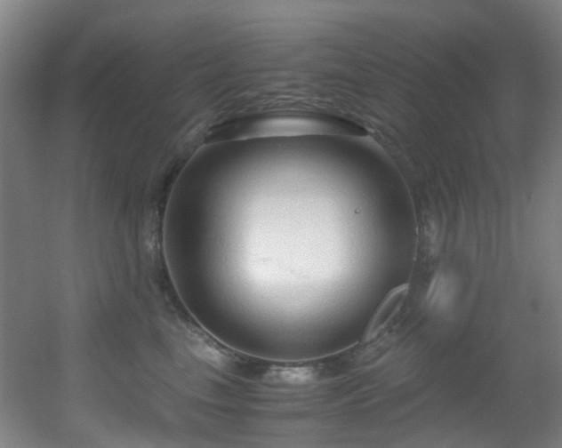 X0000056000665200508221324