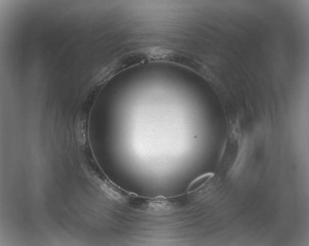 X0000056000666200508221324