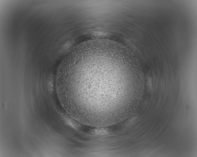 X0000056000668200508221324