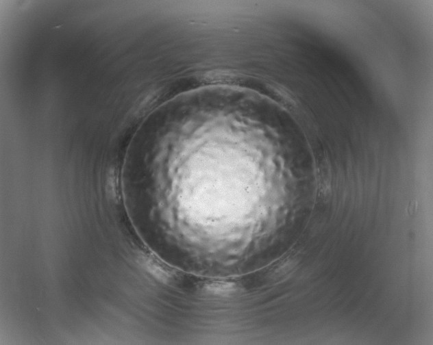 X0000056000669200508221324