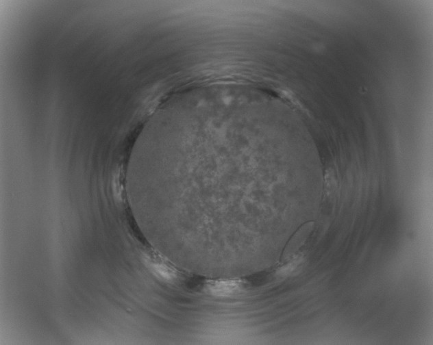 X0000056000671200508221324