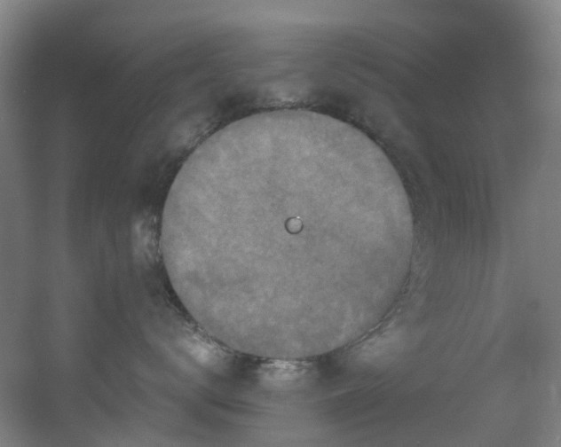 X0000056000672200508221324