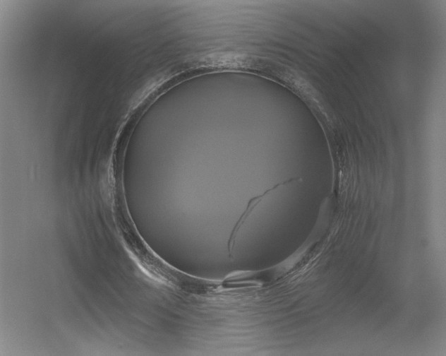 X0000056000674200508221323