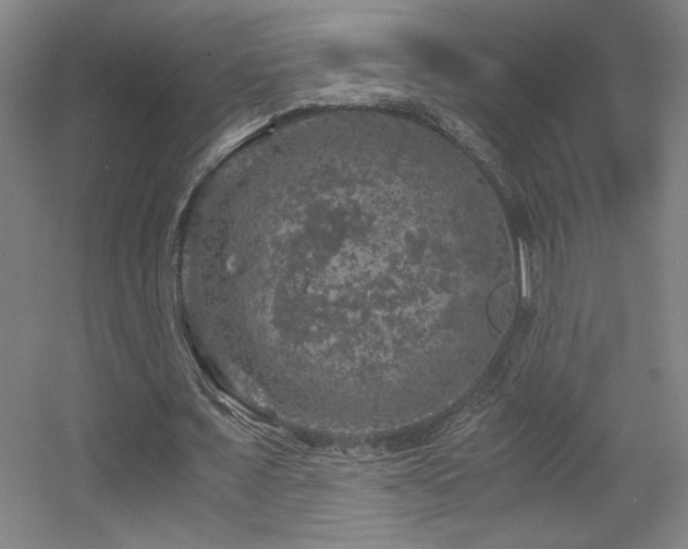 X0000056000675200508221323