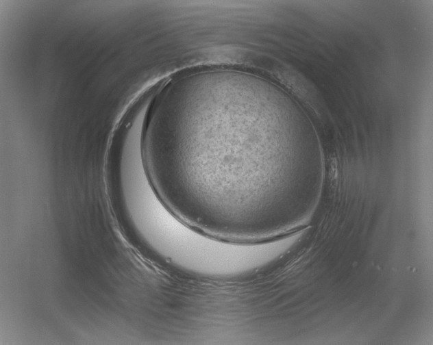 X0000056000676200508221323