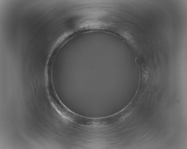 X0000056000678200508221323