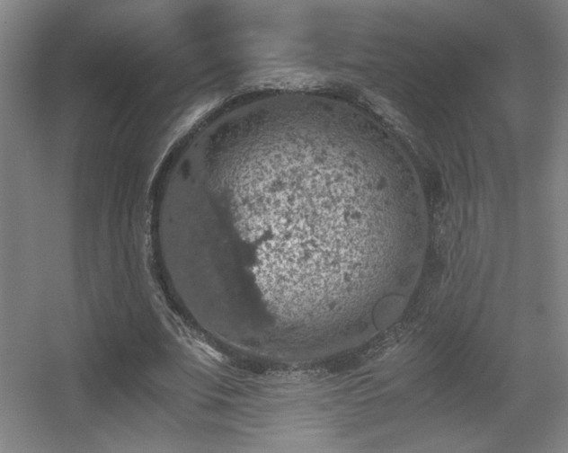 X0000056000679200508221323