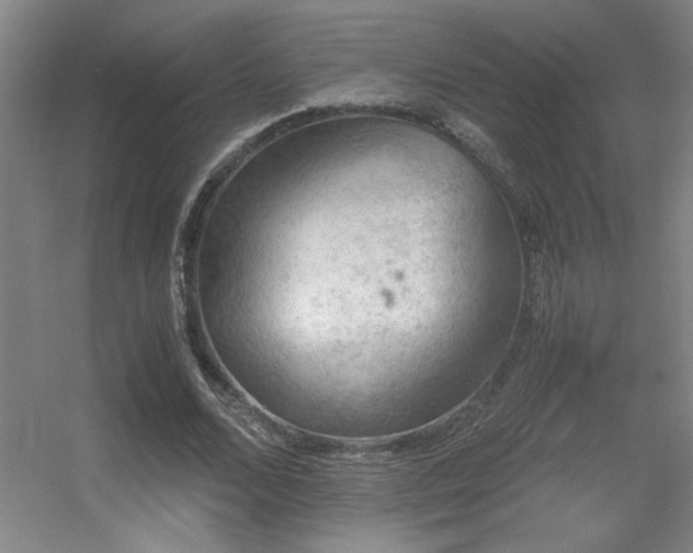 X0000056000680200508221323