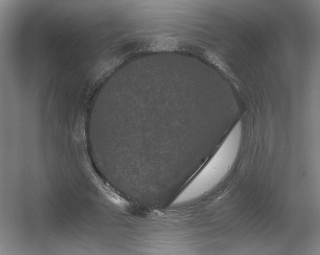 X0000056000681200508221323