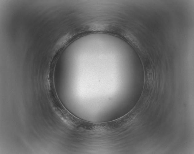 X0000056000682200508221323