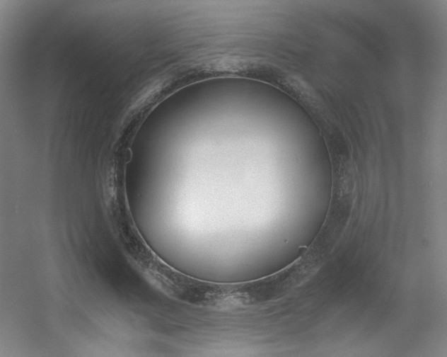 X0000056000683200508221323