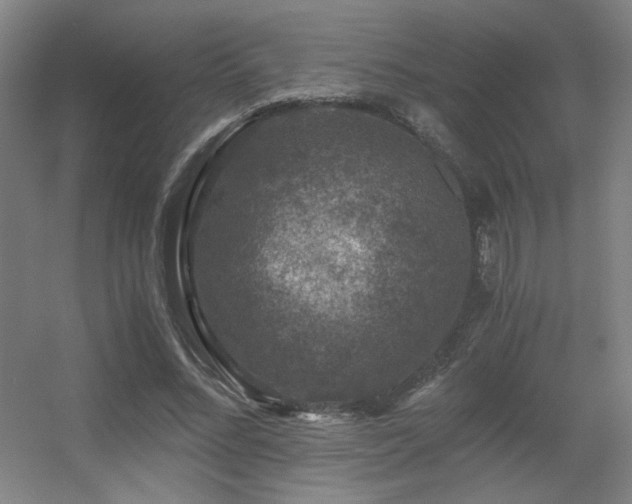 X0000056000684200508221323