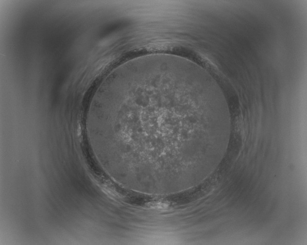 X0000056000687200508221323