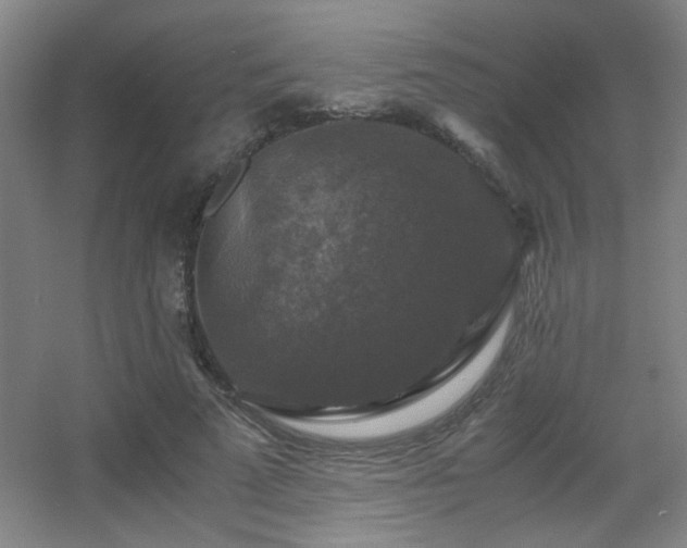 X0000056000689200508221323