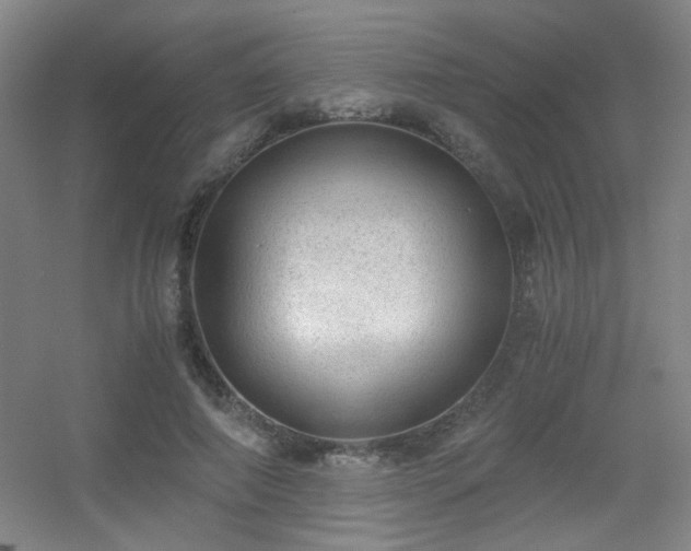 X0000056000690200508221323