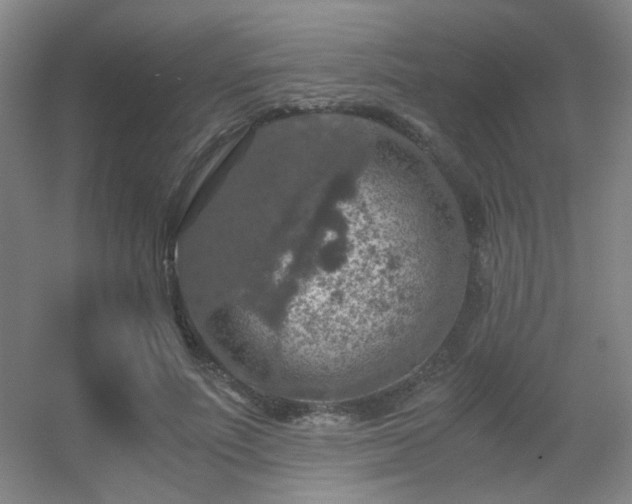 X0000056000691200508221323