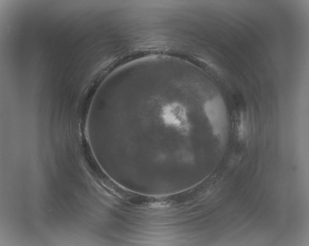 X0000056000692200508221323